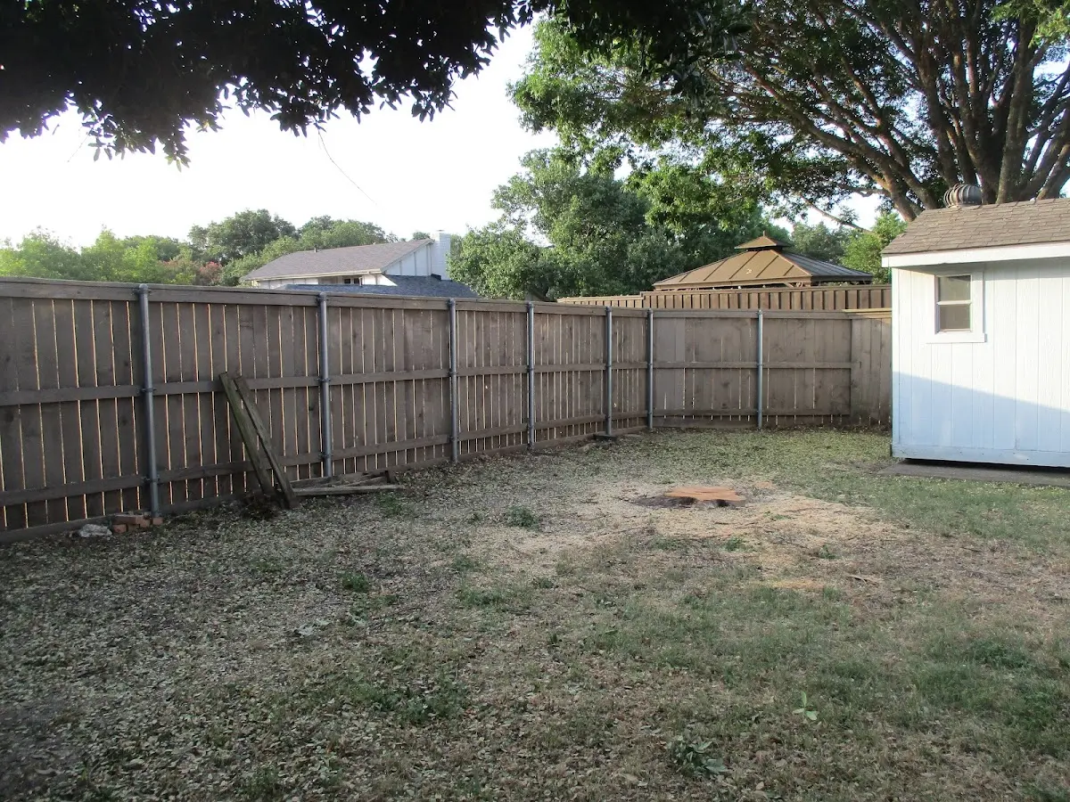 Cleared yard after professional tree removal in Snowville